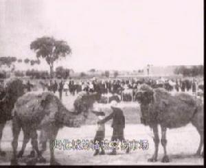 归化城(呼和浩特市旧城)