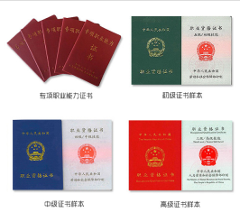 国家职业资格目录(2019年国家人力资源和社会保障部发布的文件)