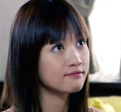 爱上千金美眉(2004年周晓鹏执导的电视剧)