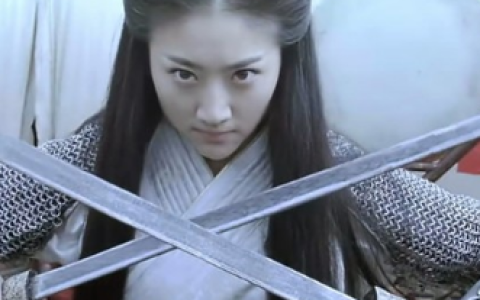 战国(2011年孙红雷吴镇宇主演电影)