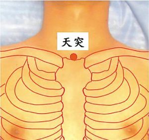 天突(人体穴位)