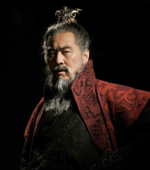 三国(2010年高希希执导的电视剧)
