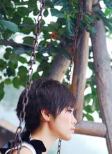 左半边翅膀(严艺丹作词，刘佳作曲，许飞演唱的歌)