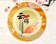 云锦(中国传统的丝制工艺品)