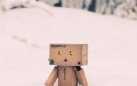 纸盒人(漫画《四叶妹妹》的纸箱人)