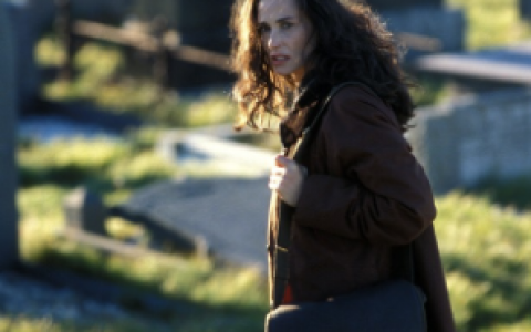 神秘群岛(美国2006年黛米·摩尔主演的电影)