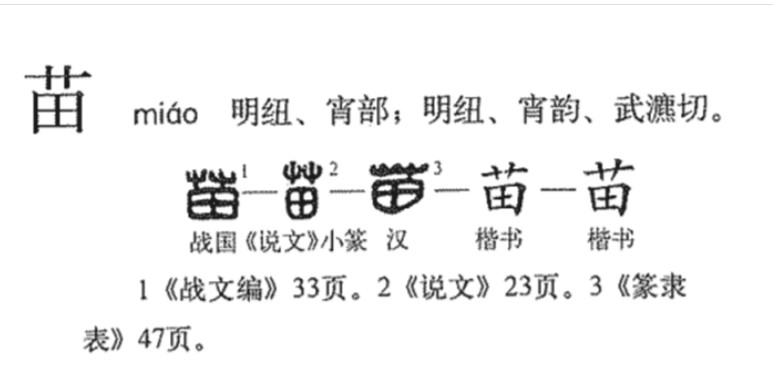 苗(汉语汉字)