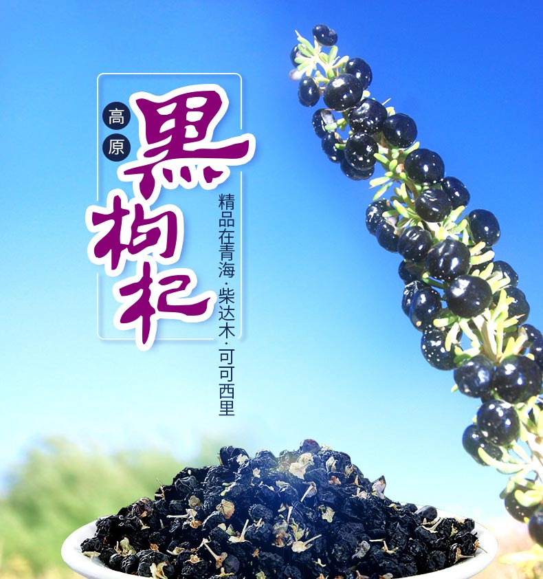 柴达木黑枸杞(生长于柴达木盆地的多棘刺灌木)