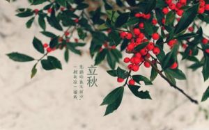 抢秋膘(立秋的习俗)