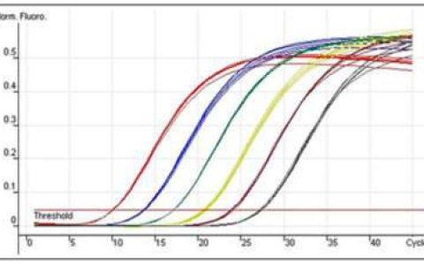 实时荧光定量PCR(通过荧光信号监测的定量PCR技术)