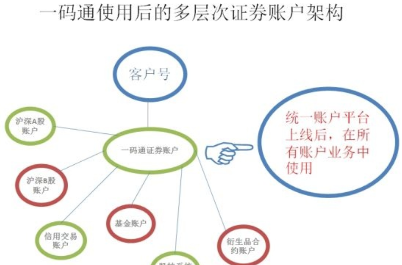 一码通账户(投资者证券持有及变动总体情况的记载物)