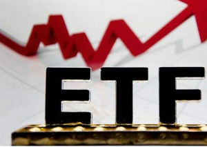 ETF期权(交易型开放式指数基金的权利和合约)