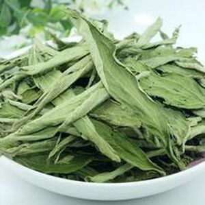 甜菊叶茶(甜叶菊叶子冲泡的饮品)