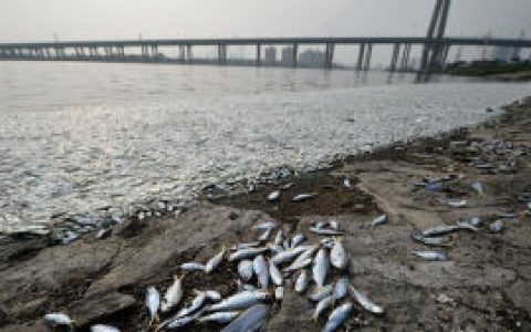 8·12天津滨海新区爆炸事故(2015年天津市发生的重大事故)