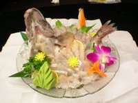 青斑(脊索门硬骨鱼纲鲈形目鮨科低纹鮨属)