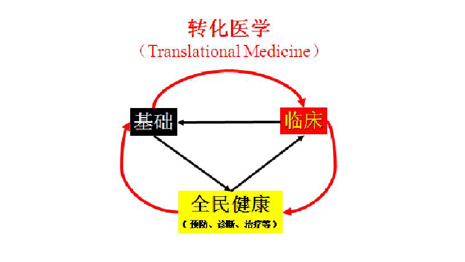 转化医学(科学术语)