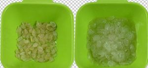 皂角米(豆科植物皂荚的种子)