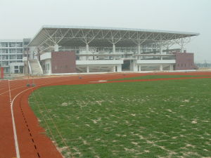 东莞市石排中学(广东省东莞市公立初级中学)