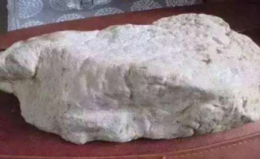 白盐沙皮壳.jpg