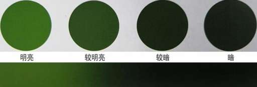 翡翠颜色的明度变化示意图
