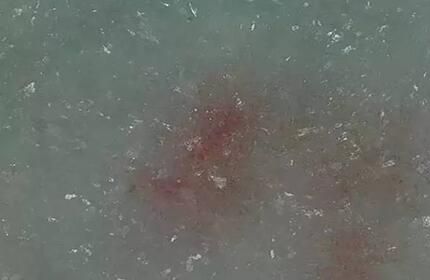 翡翠的翠性“苍蝇翅”