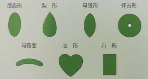 翡翠戒面常见的形状