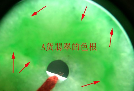 QQ图片20200207133728.png