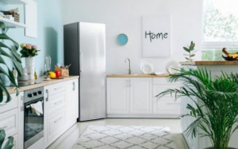 冰箱不接地线可以吗,冰箱能不能不接地线