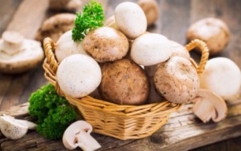 常见的食用蘑菇种类介绍,生活中常见的食用蘑菇种类有哪些