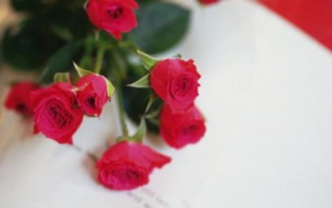 小花束送哪些花好,小花束适合送什么