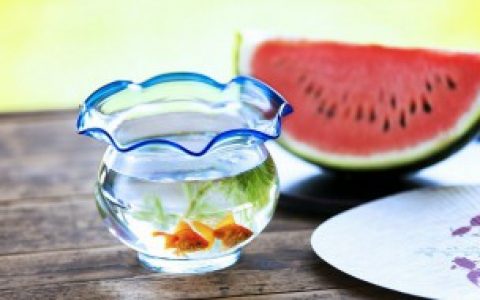 怎么养好锦鲤鱼,锦鲤鱼怎么养比较好