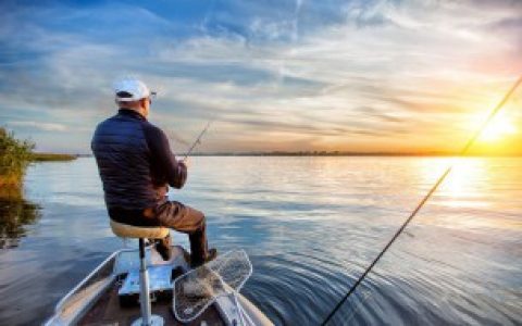 传统钓黑鱼用什么饵好,传统钓黑鱼用哪些饵好