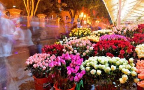 开业适合送什么花束铜仁,开业适合送的花束