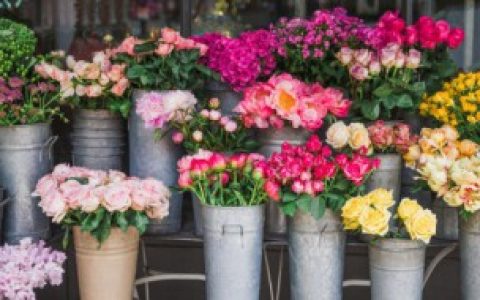 骨折病人适合送什么花束,骨折病人适合送哪种花束