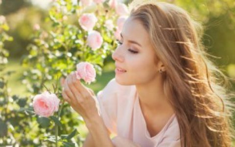 高级和谐女生网名简单干净英文静美 最新最热的英文网名简单高级