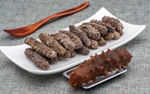 刺参和海参的区别 刺参和海参有什么区别