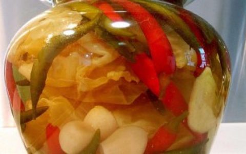 做泡菜应该是凉开水还是自来水 做泡菜用凉白开水即可