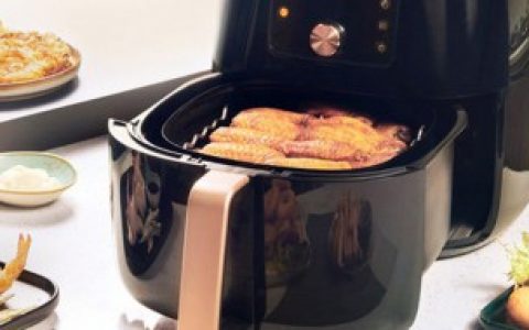 空气炸锅啥意思 空气炸锅的意思