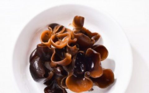 黑木耳田园栽培技术要点（黑木耳田园栽培技术要点有什么）