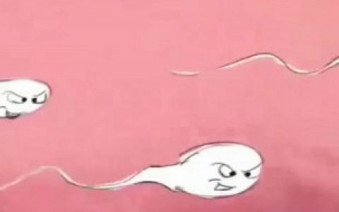 精子可以在体内存活几天并受精（精子在体内存活的时间）