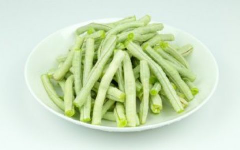 【四季豆种子催芽方法】怎么给四季豆种子