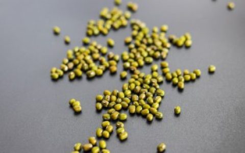 【纸上种菜绿豆要泡多少分钟】纸上种菜绿豆要泡多长时间