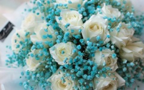 【表白送什么花好】表白送啥花好