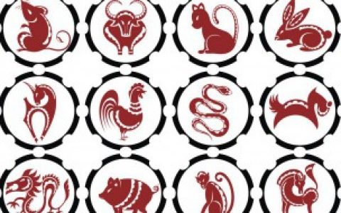 【一木一土一方水是什么生肖】一木一土一方水是指什么生肖