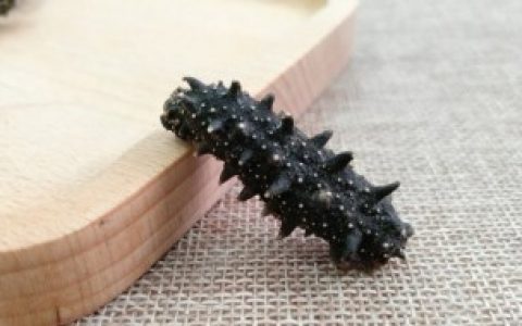 如何区分海参是返盐还是发霉 区分海参是返盐还是发霉方法是什么