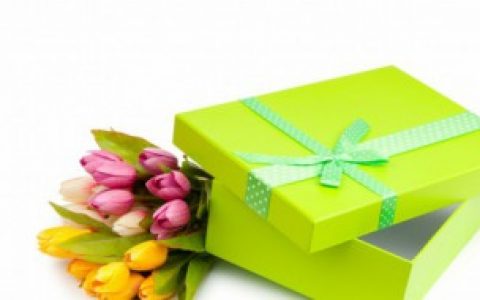 郁金香有什么寓意（郁金香的花语是什么意思）