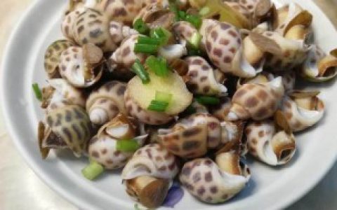 【怎样挑选花螺】挑选花螺的技巧