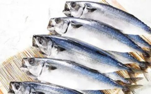 如何挑选优质鲔鱼呢,怎样挑选优质鲔鱼呢