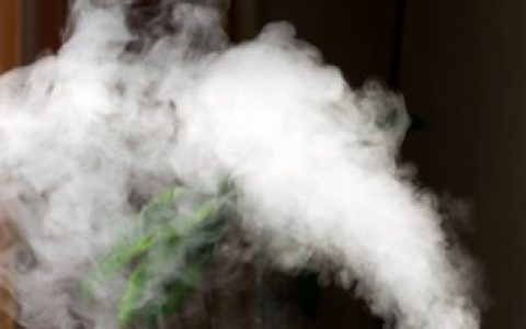 柴油味怎么去除 去除柴油味的技巧