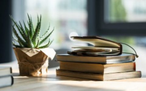 芦荟属于什么科植物 芦荟属于啥植物